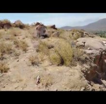 Arequipa: petroglifos de 5 mil años al borde del colapso por obras en Yarabamba (VIDEO)