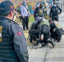 Arequipa Inseguridad IPSOS