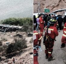 Arequipa, bus Llamosas