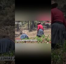 Ayacucho: La región enfrenta un inusual retraso de lluvias y temen impacto en reservorios (VIDEO)