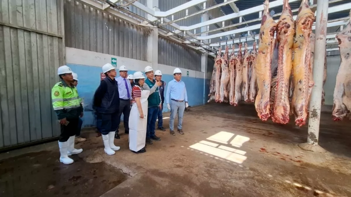 camal-municipal-arequipa