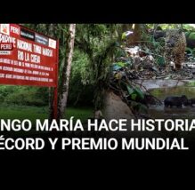 Parque Nacional Tingo María rompe récord y compite por premio internacional | PASÓ EN EL PERÚ (VIDEO)