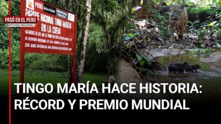Parque Nacional Tingo María rompe récord y compite por premio internacional | PASÓ EN EL PERÚ (VIDEO)