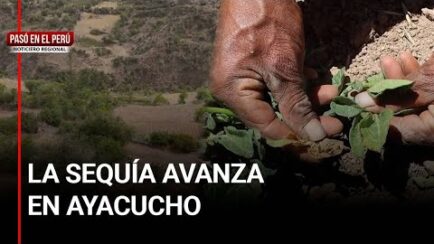 PASÓ EN EL PERÚ: El campo se seca en Ayacucho: más del 40 % del agro en riesgo (VIDEO)