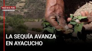 El campo se seca en Ayacucho: más del 40 % del agro en riesgo | PASÓ EN EL PERÚ (VIDEO)