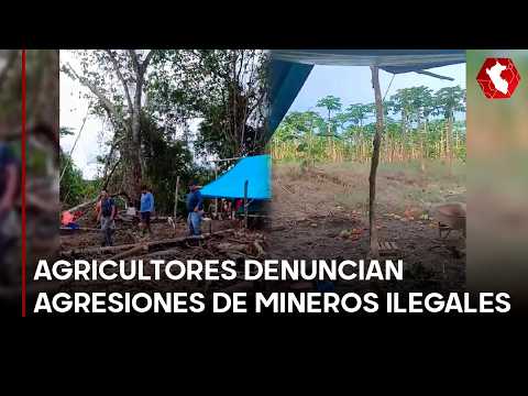 Minería ilegal y violencia en Puerto Inca: Agricultores denuncian agresiones de mineros ilegales (VIDEO)
