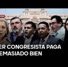 PASÓ EN EL PERÚ: Tingo María abre centro especial para animales víctimas del tráfico ilegal (VIDEO)