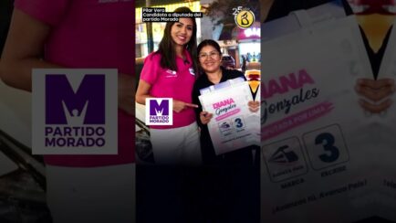 CASTIGO AL PACTO| Pilar Vera:“Este 12 de abril castiguemos a los partidos que controlan el Congreso” (VIDEO)