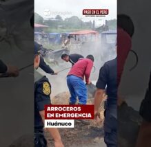 Huánuco: Productores de Aucayacu alertan que el sector arrocero está en crisis (VIDEO)
