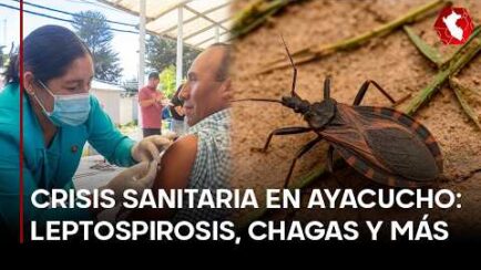 Leptospirosis, Chagas y más: la crisis sanitaria que preocupa en Ayacucho (VIDEO)