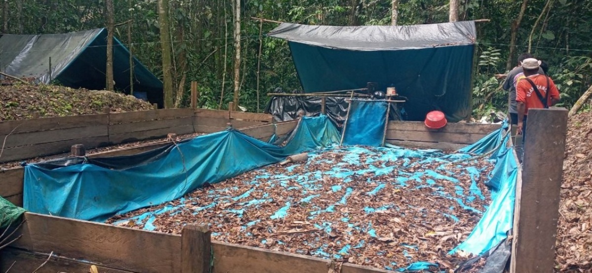 Amazonía